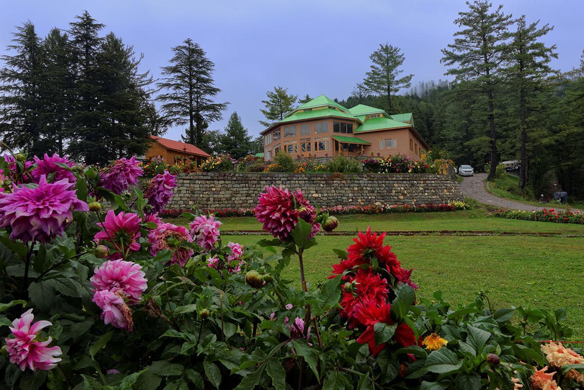 Arcadian Sprucewoods Hotel Shogran Exterior photo